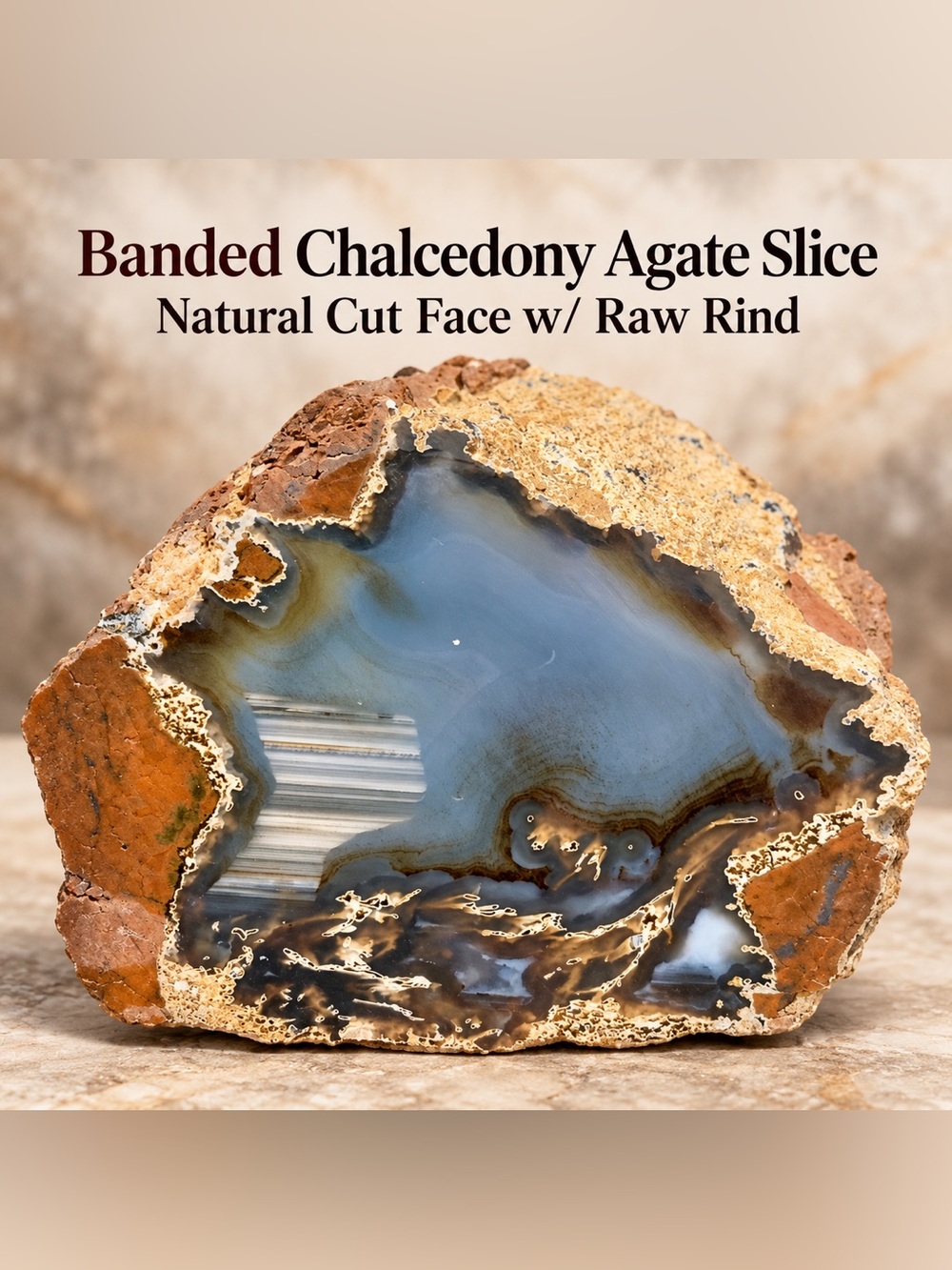 Banded Chalcedony Agate Slice – Natural Cut Face w/ Raw Rind
